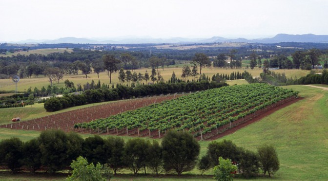 Hunter Valley Day Tours