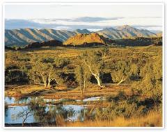 Day Tours from Alice Springs
