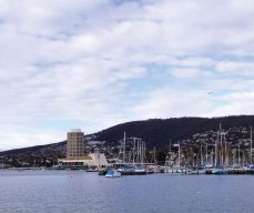 Tasmania Day Tours