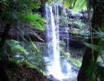 Russell Falls Day Tours