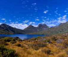 Cradle Mountains Day Tours