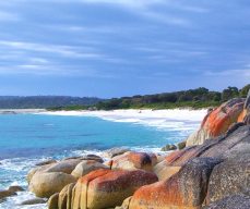 Bay of Fires Day Tours
